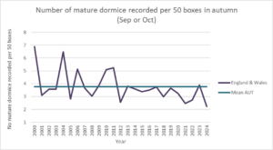 What did our box checks reveal about dormouse populations in 2024? People's Trust for Endangered Species.