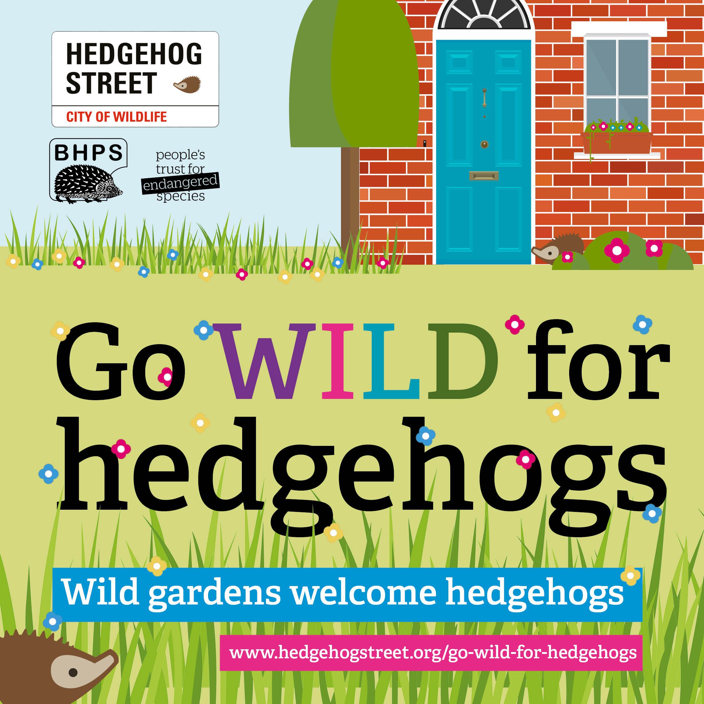 Go Wild For Hedgehogs