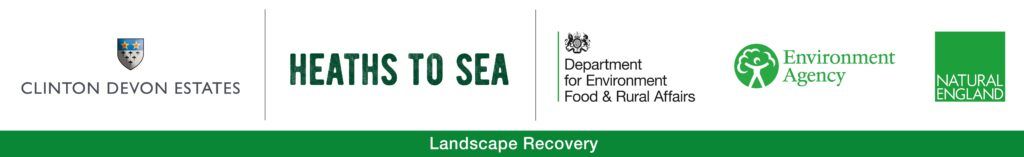 The Heaths to Sea Landscape Recovery Project - Jennie Guard People's Trust for Endangered Species intern