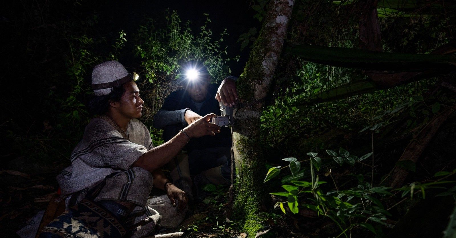 Harlequin starry night toad researchers - People's Trust for Endangered Species