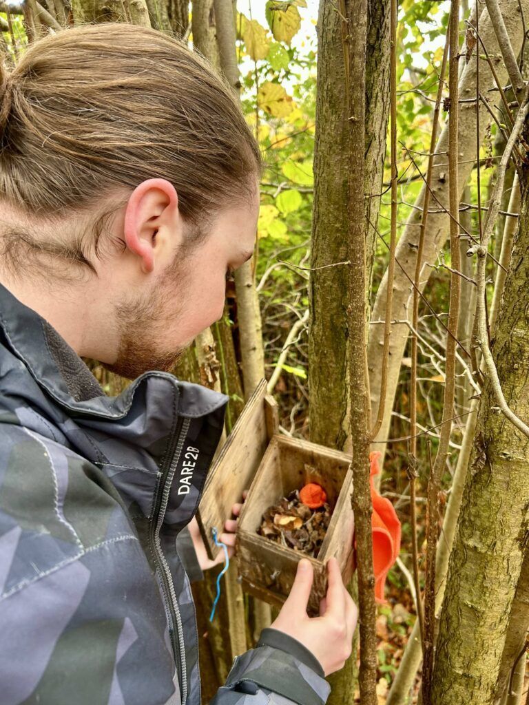 Meet Martin Roche: dormouse monitor
