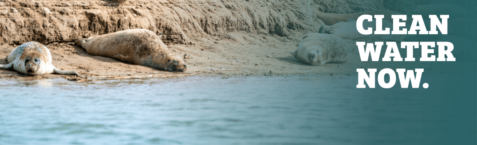 Clean Water Now Campaign Water Reform Bill - People's Trust for Endangered Species