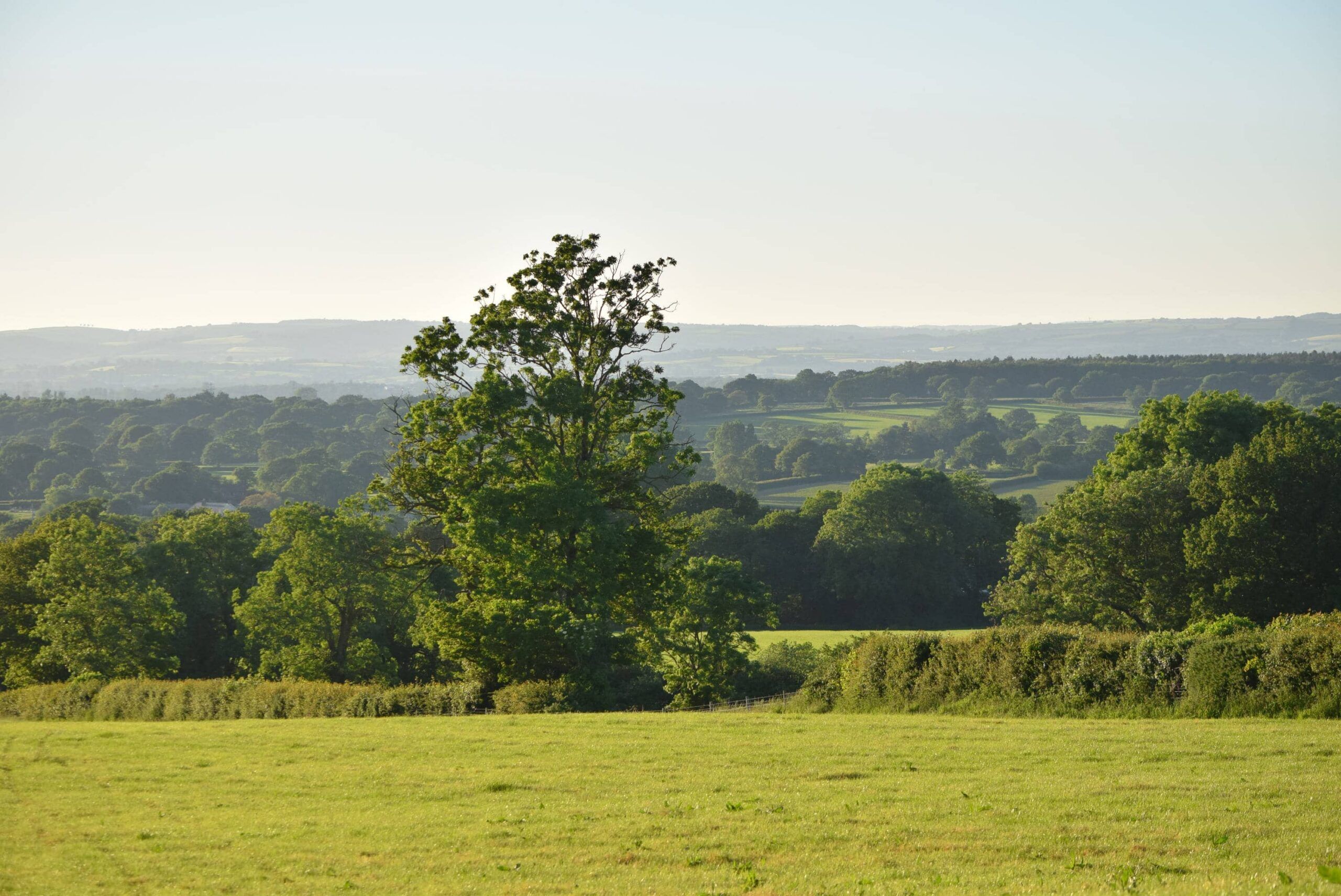 Hedgerows and climate change - People's Trust for Endangered Species