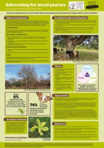 A4 Advocating for wood pasture - People's Trust for Endangered Species