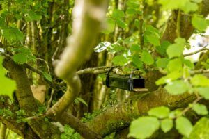 A Footprint tunnel hanging in tree - Jago Miller