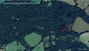 Location of nest boxes and footprint tunnels, Pentre Ifan and Ty Canol Reserves-Credit Nathan Walton