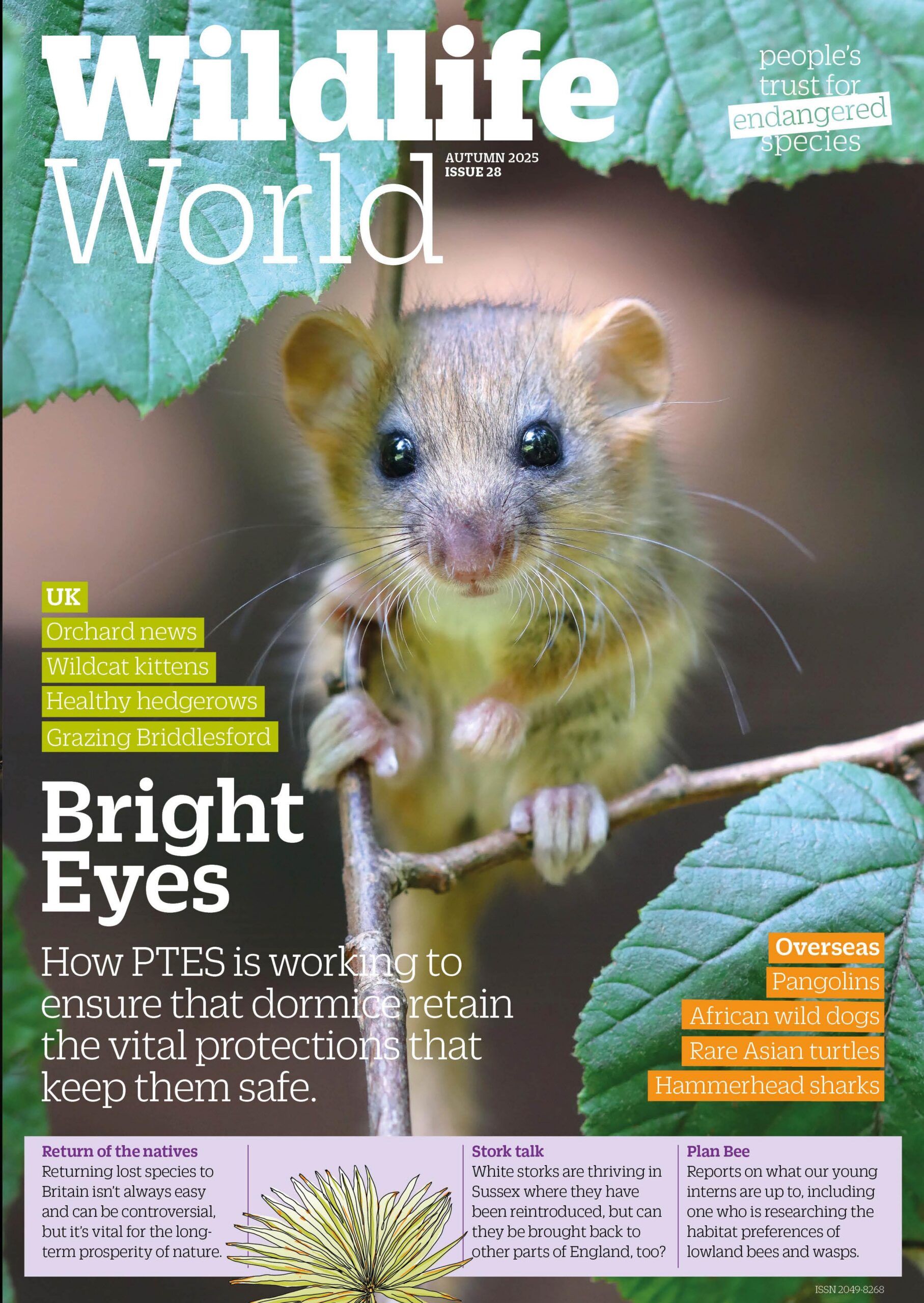 Wildlife World Autumn WW28 front cover