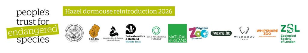 Hazel dormouse reintroduction 2026 partners - People's Trust for Endangered Species