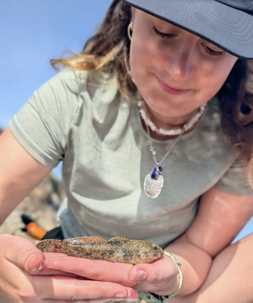 Monitoring giant gobies: understanding how rare fish respond to climate change