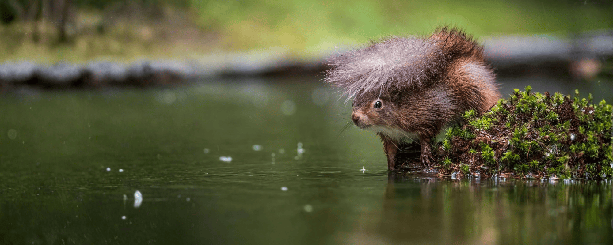Joanne Charnwood | Shutterstock
